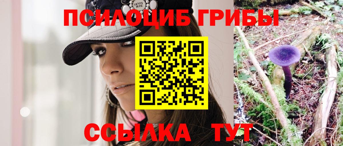 Псилоцибиновые грибы мухоморы  Вход с VPN  Псилоцибиновые грибы Psilocybine cubensis  Ртищево 