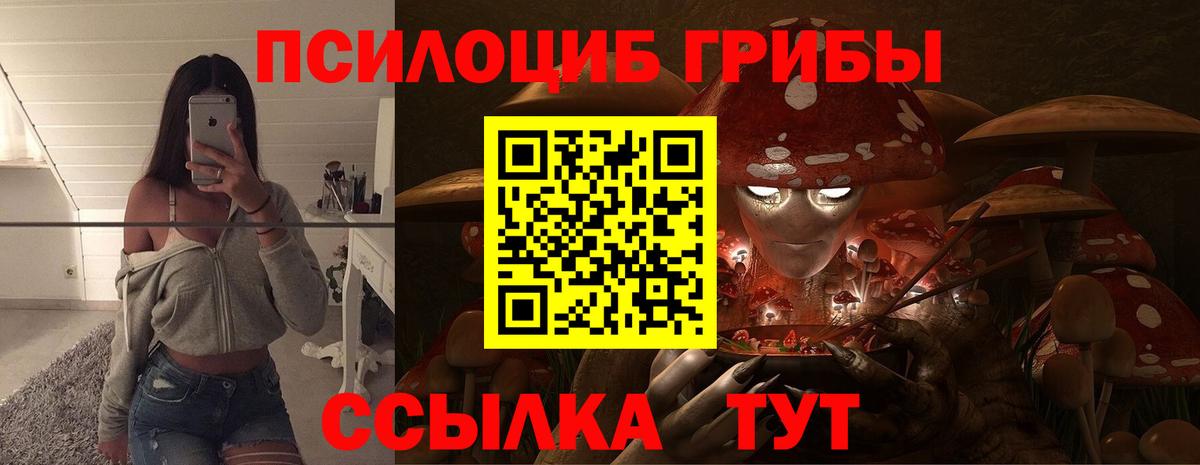 Галлюциногенные грибы прущие грибы Ртищево